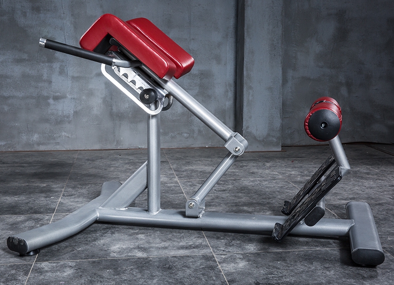 tzh-dumbbell bench- X5-2