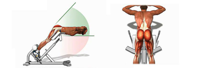 Insistez sur l'effet après la calcination. Il peut exercer efficacement les muscles du dos, des jambes et des fesses.